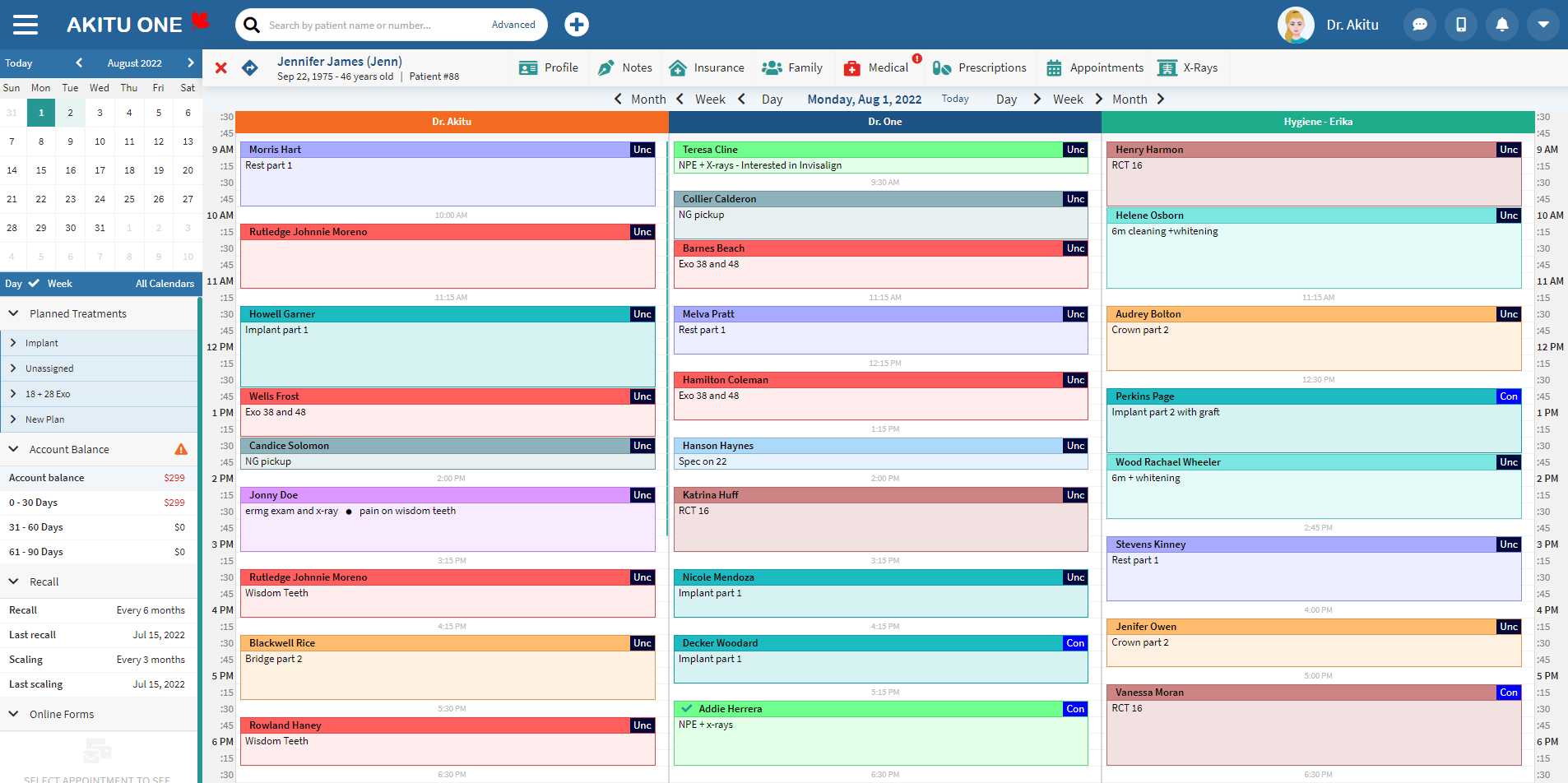 screenshot of Akitu One